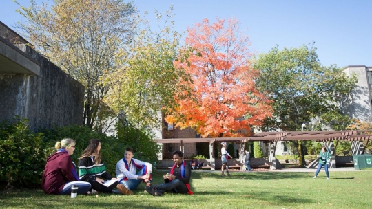 champlain lawn.jpeg